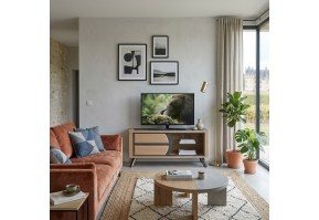 Meuble TV-Hifi 1 porte Omega  | 120 cm